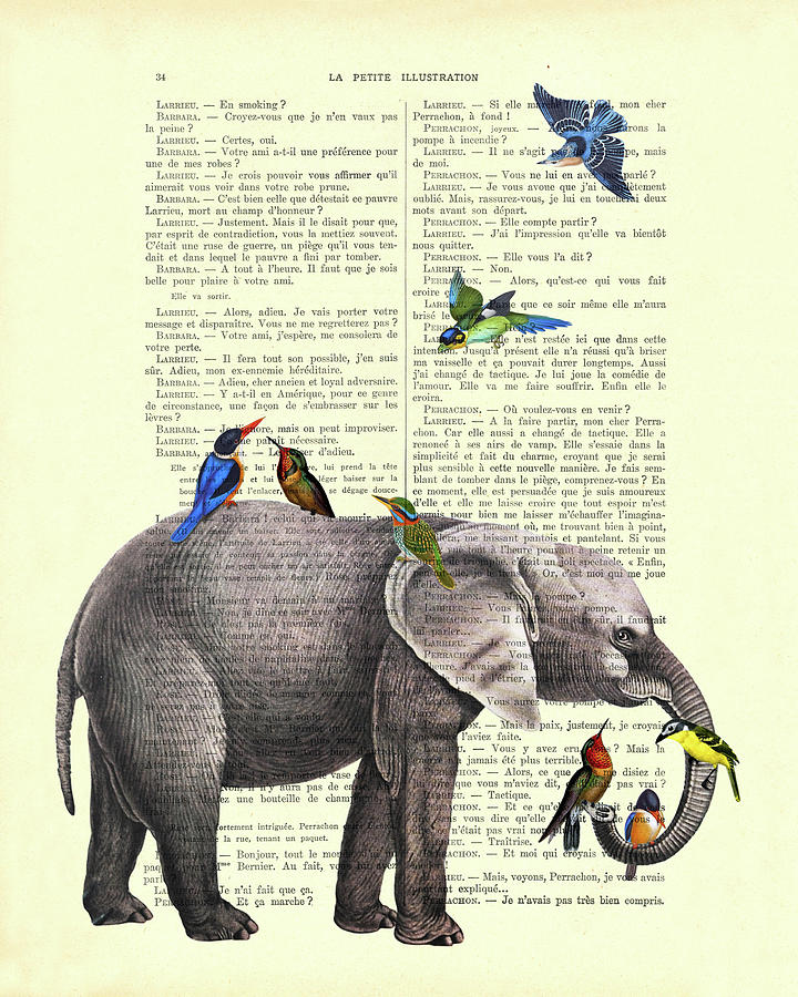 Bird Digital Art - Elephant and birds antique illustration by Madame Memento