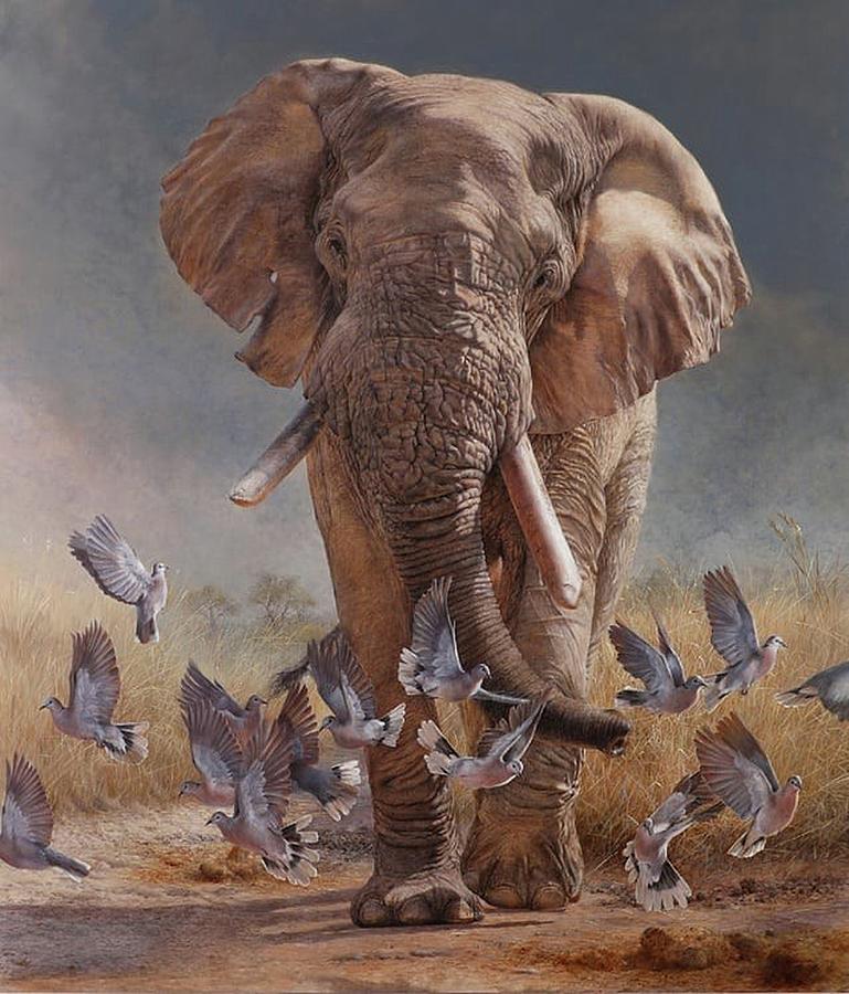 Elephant and birds Drawing by Dawn Kerns | Fine Art America