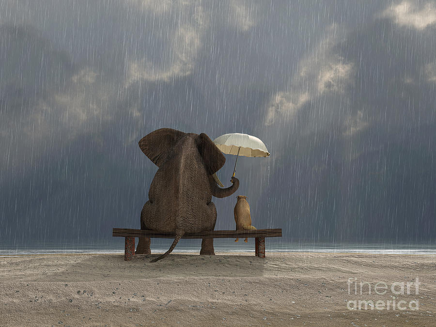 Animal Digital Art - Elephant And Dog Sit Under The Rain by Mike Kiev
