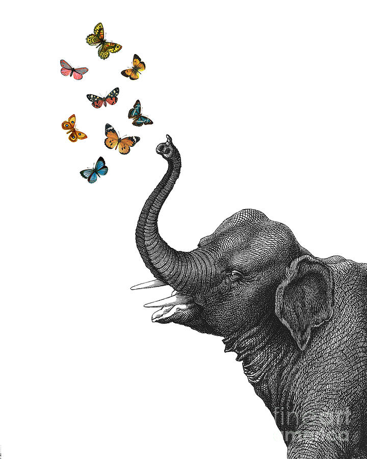Elephant blowing butterflies Digital Art by Madame Memento