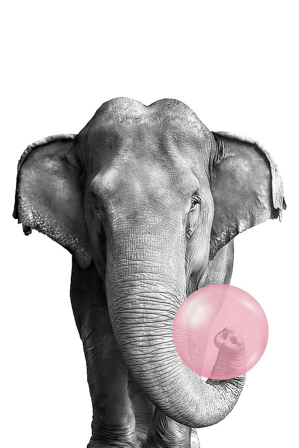 Elephant Bubble Gum Digital Art by Emma P Fine Art America