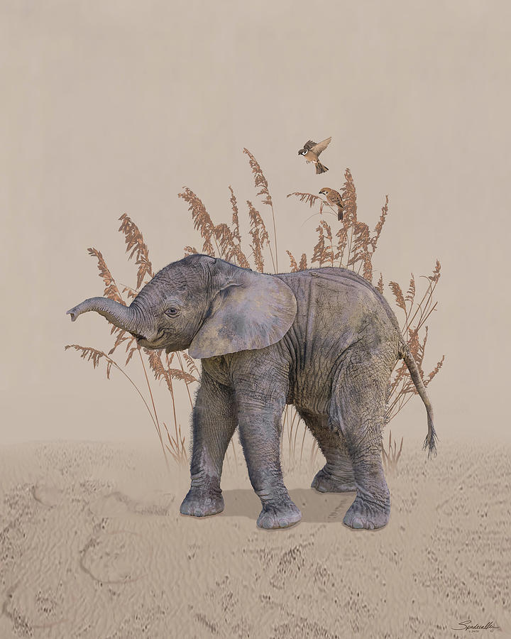 Elephant Calf Portrait Digital Art by M Spadecaller