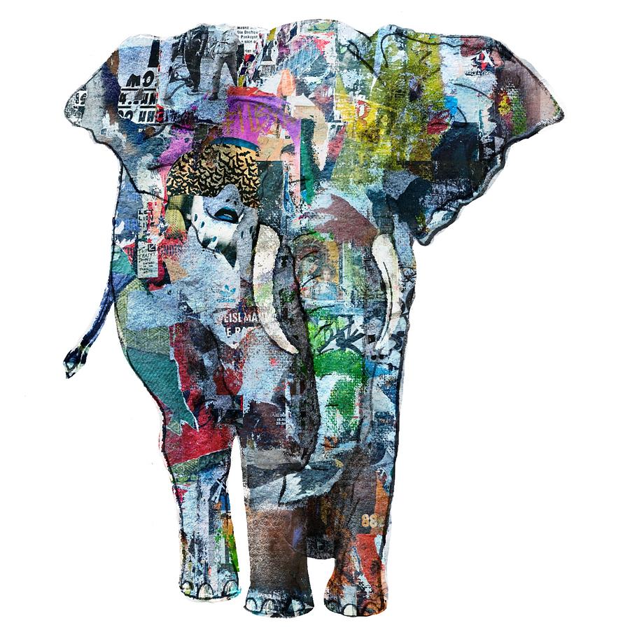 collage of elephant