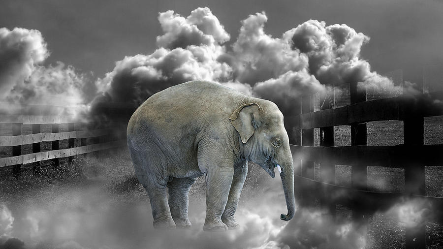 Elephant Dream Mixed Media by Marvin Blaine