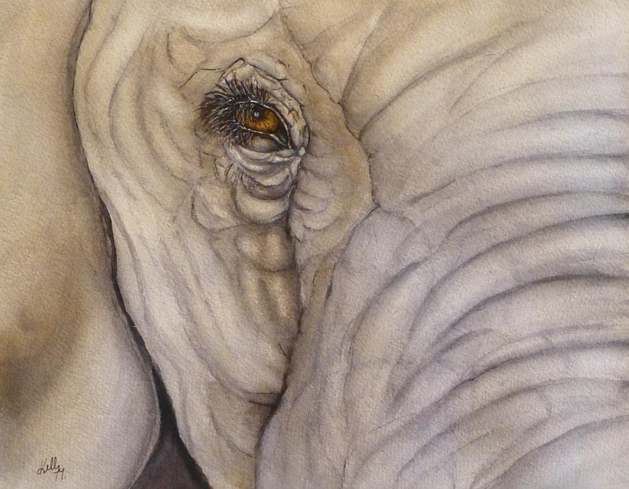 Elephant Eye Painting by Kelly Mills