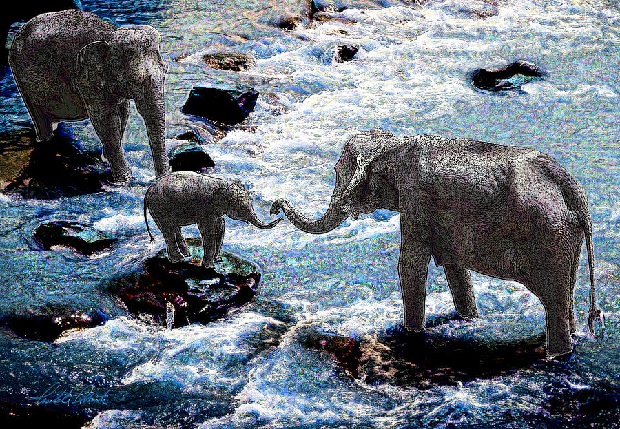 Elephant Family Digital Art