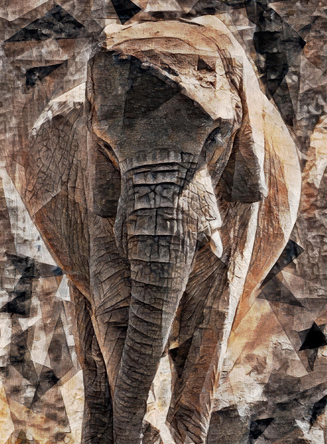 Elephant front view in the cubist style with big triangular shapes ...