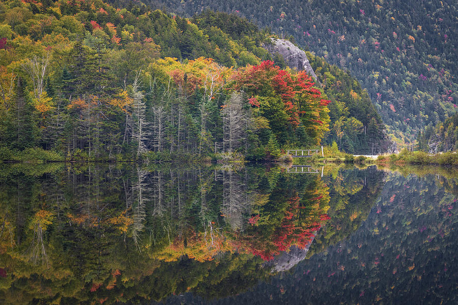 Elephant Head Autumn Reflections Photograph by White Mountain Images