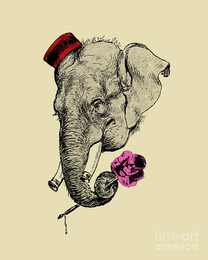 Elephant Digital Art - Elephant head cartoon by Madame Memento