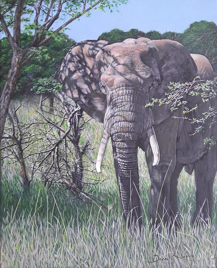 Elephant in the Bush Painting by John Neeve