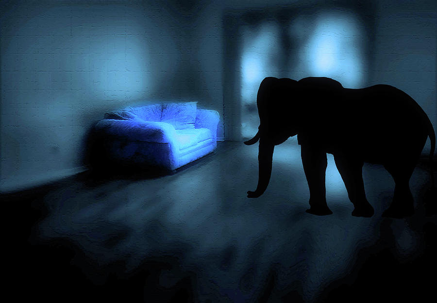 Elephant in the Room Digital Art by Debra Kewley