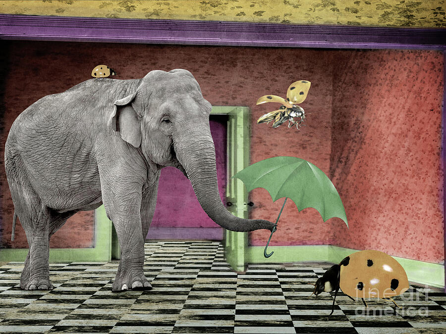 Elephant Mixed Media - Elephant in the Room by Elisabeth Lucas