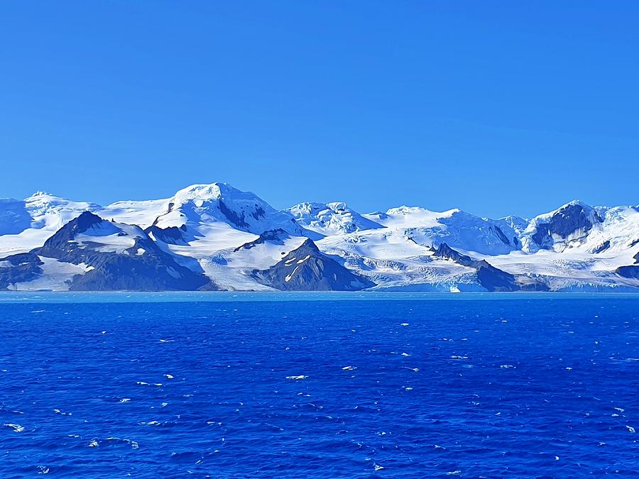 Elephant Island - Antarctica Photograph by Andrea Whitaker