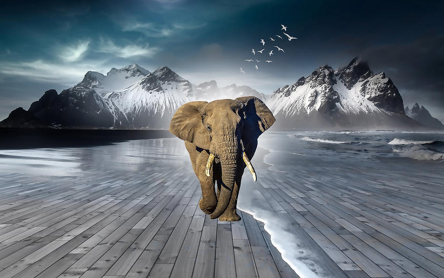 Elephant Land Mixed Media by Marvin Blaine