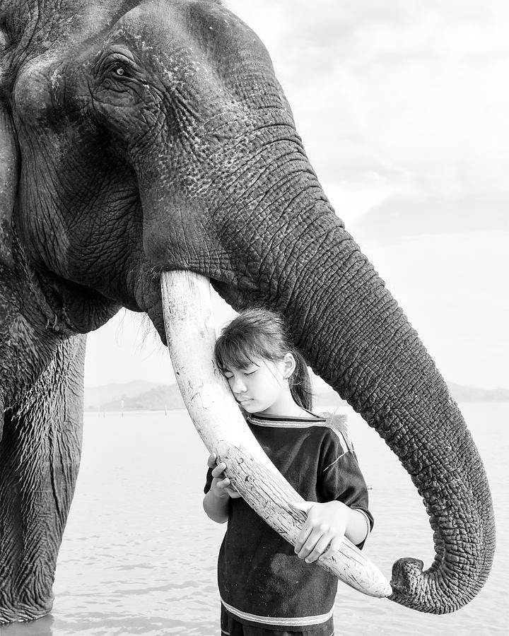 Elephant Love Photograph by Khanh Bui Phu