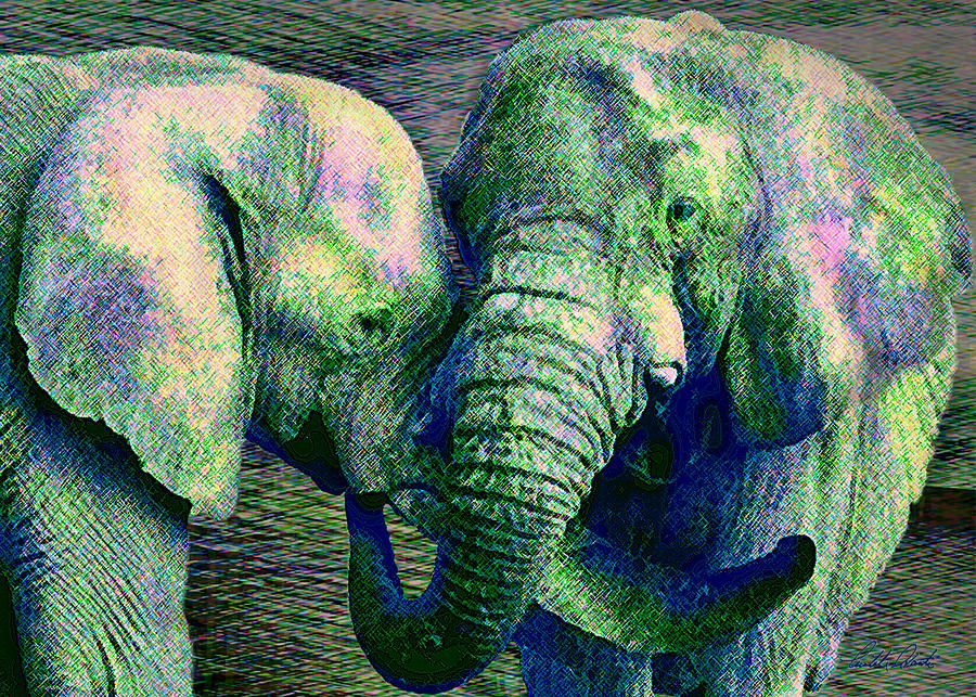 Elephant Love Digital Art