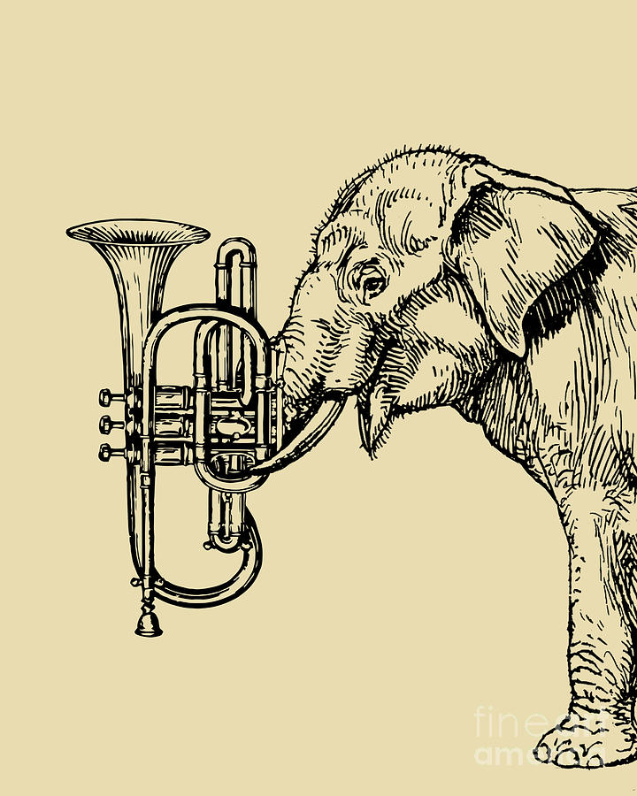 Elephant Digital Art - Elephant musician by Madame Memento