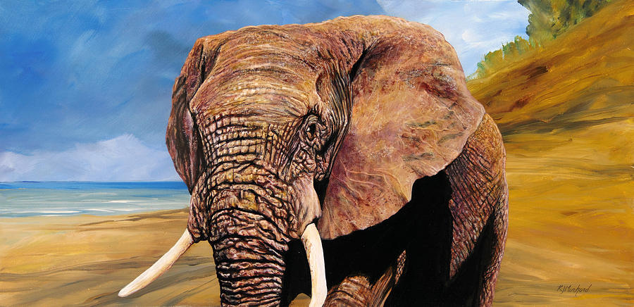 Elephant On The Fundy Shore Painting by R J Marchand