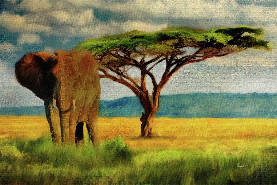 The Serengeti in Tanzania Digital Art by Russ Harris