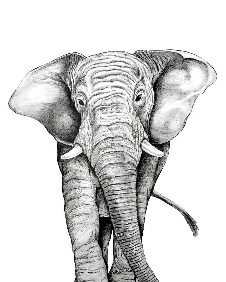 Elephant Poster Painting by Mason Moore - Fine Art America