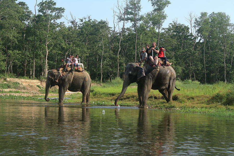 Elephant Ride Adventure Photograph