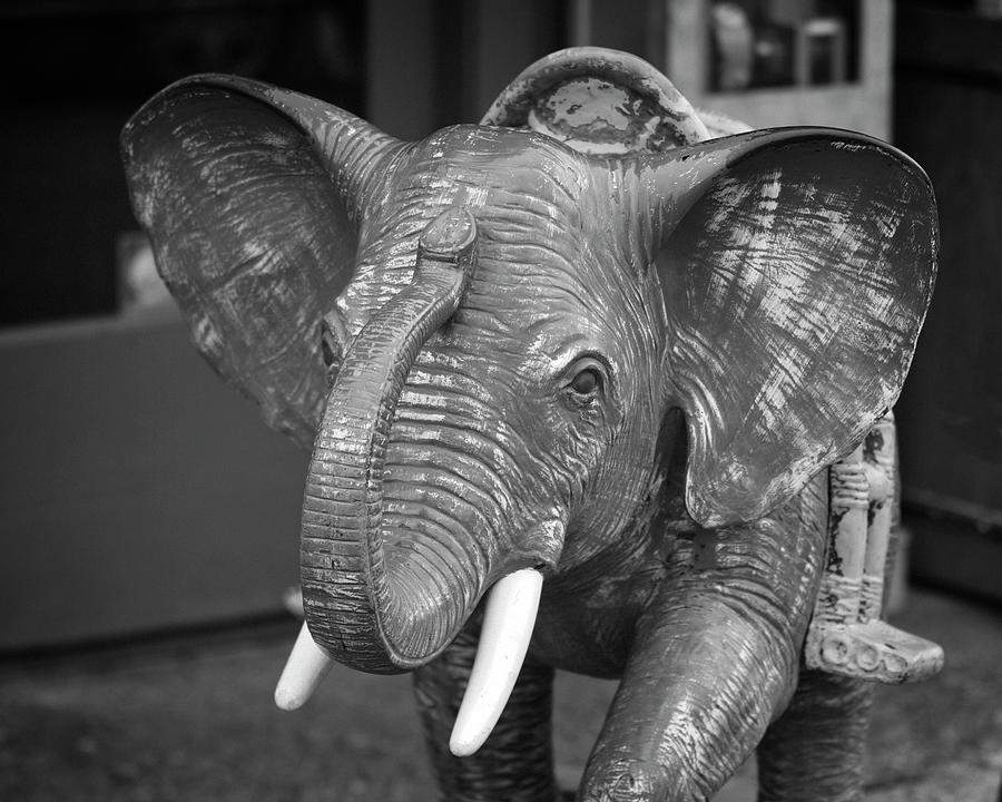 Elephant Ride Photograph By Bob Stevens Fine Art America