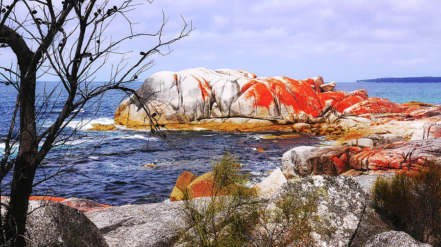 Elephant Rock - Bay of Fires Photograph by Lexa Harpell