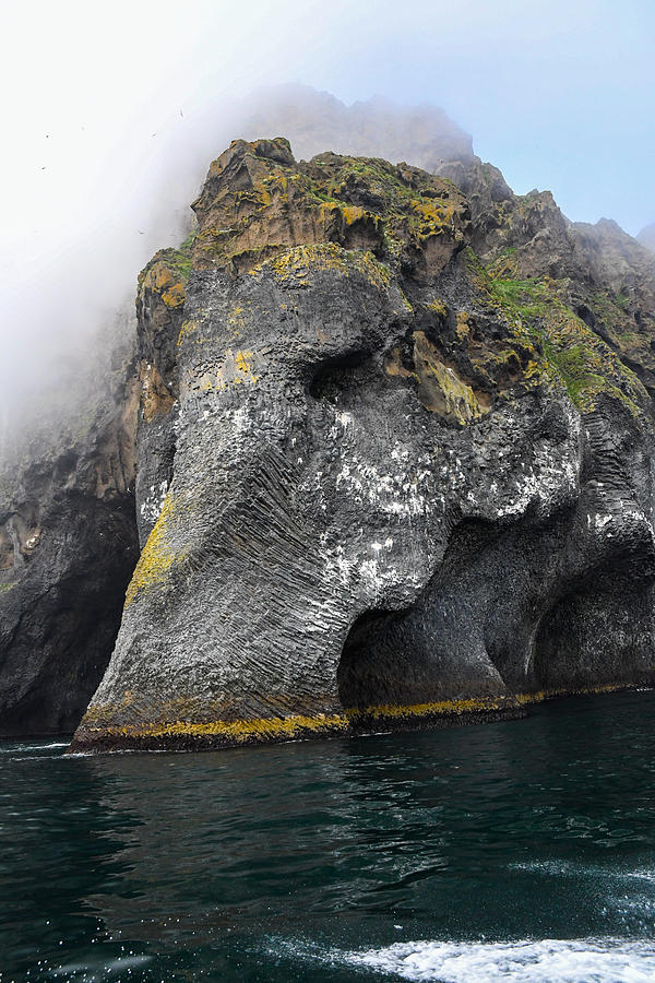 Elephant Rock Iceland  Photograph by Natalia Baquero