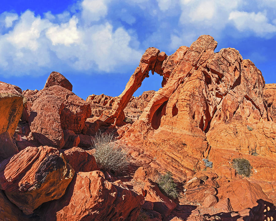 Elephant Rock, Valley Of Fire, Nevada Photograph by Don Schimmel