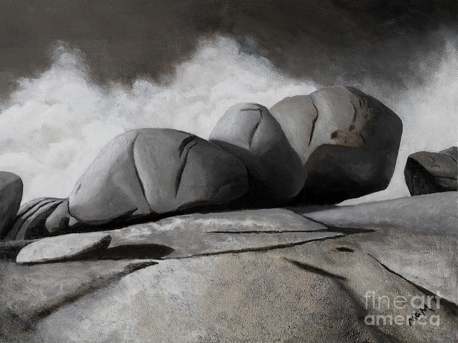 Elephant Rocks Monochrome Painting by Garry McMichael
