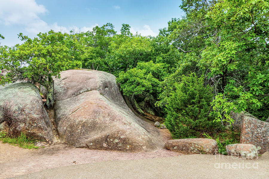 Elephant Rocks Skateboard Ramp Rock Photograph by Jennifer White