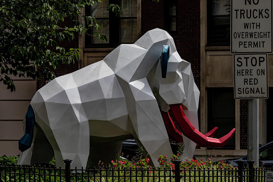 Elephant Sculpture Park Avemue NYC Photograph by Robert Ullmann