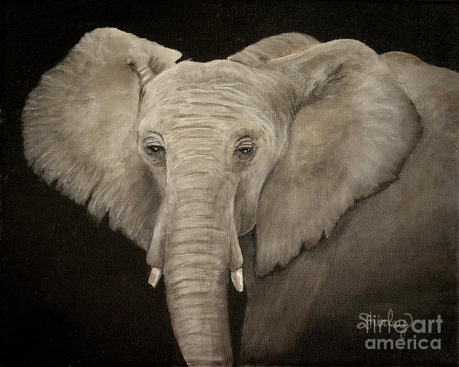 The Elephant Painting by Shirley Dutchkowski