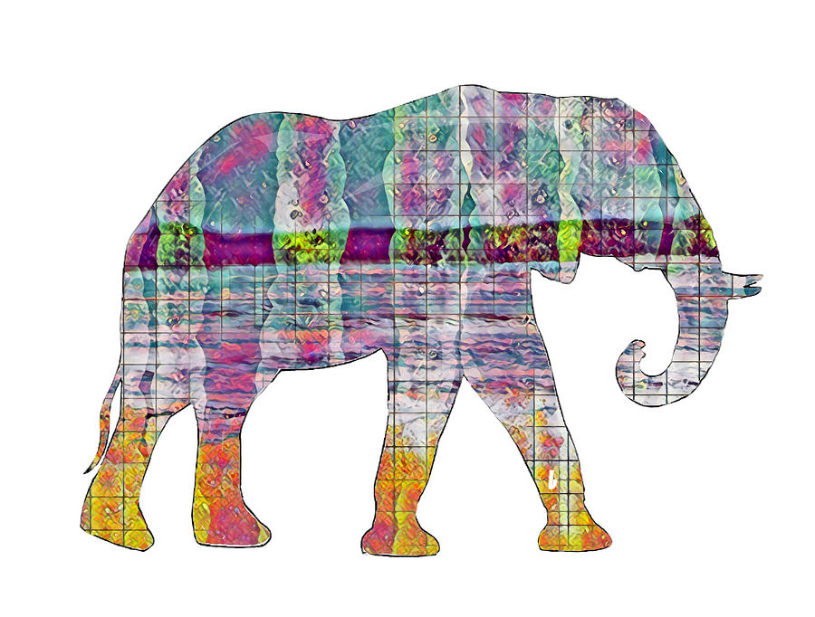 Elephant Silhouette 1 Digital Art by Eileen Backman