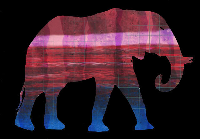Elephant Silhouette 5 Digital Art by Eileen Backman