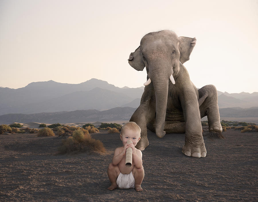 Elephant Sitting In Desert With Baby Photograph by John M Lund Photography Inc