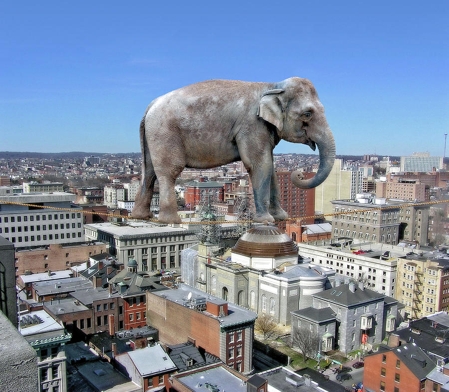 Elephant Tightrope Over Baltimore Digital Art by Brian Wallace