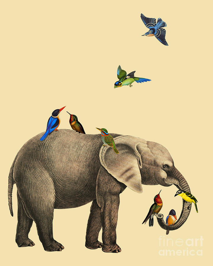 Elephant Digital Art - Elephant with bird friends by Madame Memento