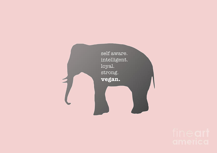 Elephant with Text - Self Aware Intelligent Loyal Strong Vegan Digital Art by Barefoot Bodeez Art