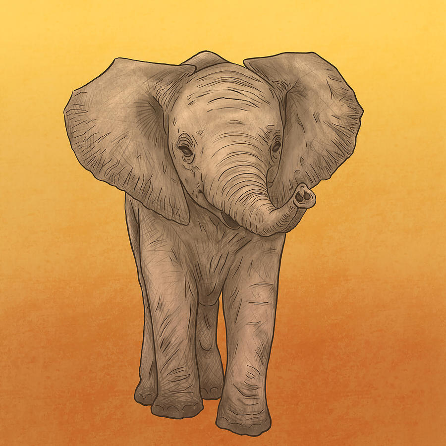 Elephant Wrinkles Poster hippie Painting by Watson Daisy | Fine Art America