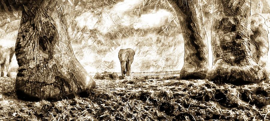   Elephant_5 Photograph by Jean Francois Gil