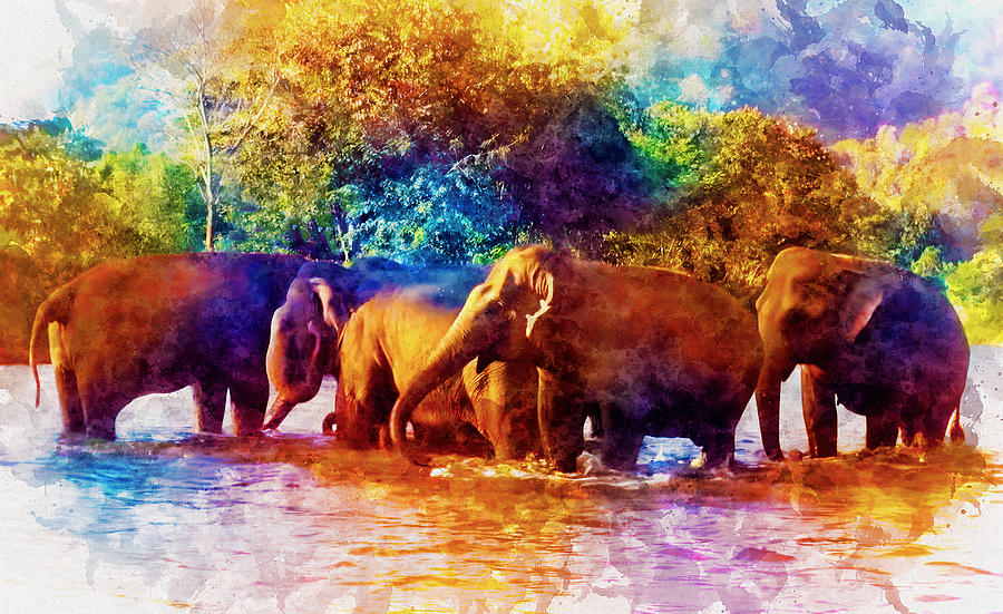 Elephants bathing in the river -  ink and watercolor Digital Art by Nicko Prints