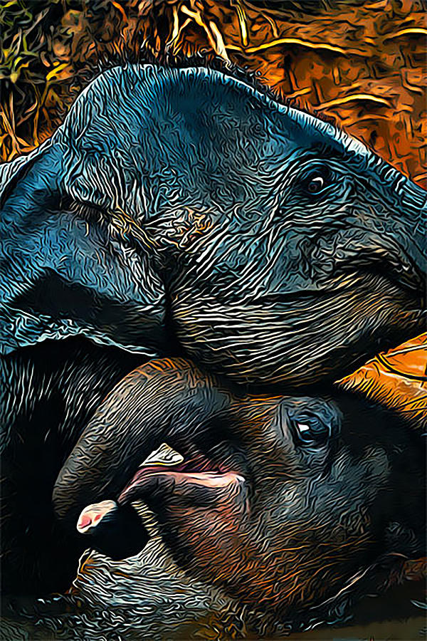 Elephants Digital Art by Curt Freeman