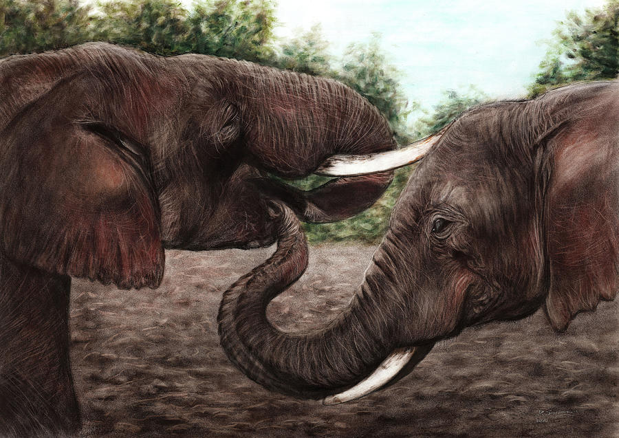 Elephant Oil Painting Painting