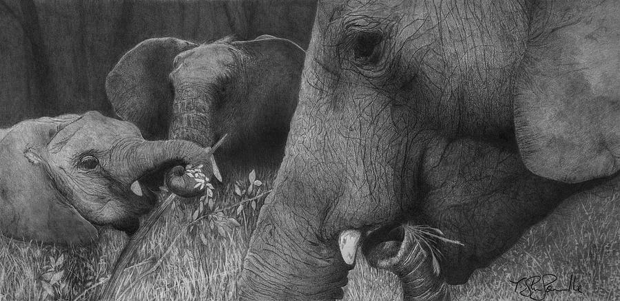 Elephants Eating - Africa Drawing by Steve Somerville