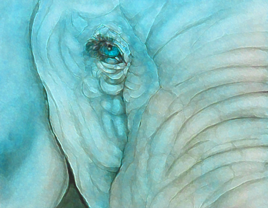 Elephants Eye with a Soft Touch Digital Art by Kelly Mills