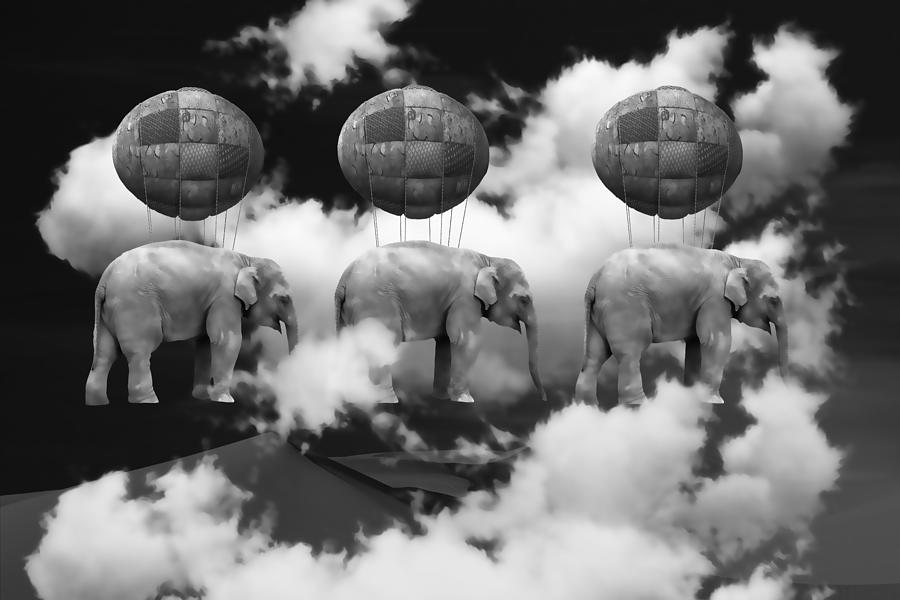 Elephants Flight 707 Mixed Media by Marvin Blaine