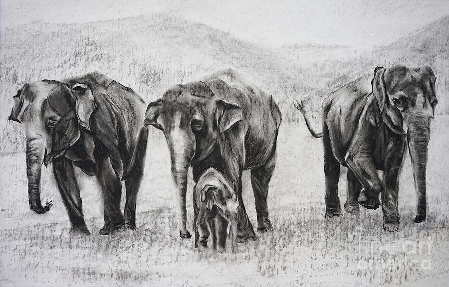 Elephants In A Row Pastel by Radha Rao