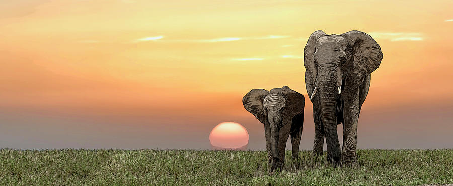 Nature Photograph - Elephants in front of sunset by Adrian Brockwell