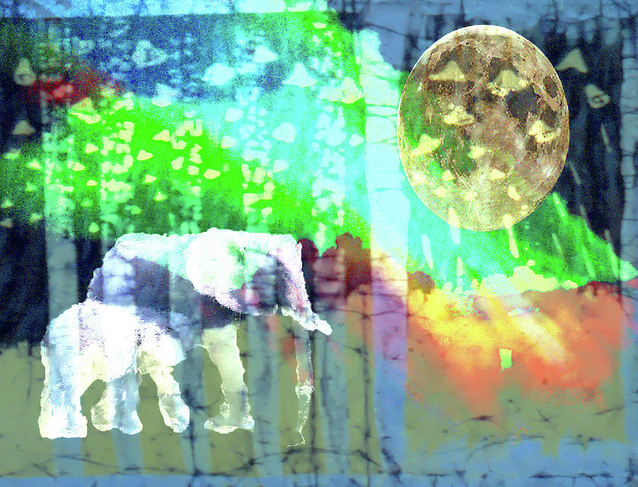 Elephants Moon DC1 Digital Art by Cathy Anderson